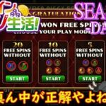 オンラインカジノ生活SEASON3-Day250-【BONSカジノ】