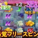 オンラインカジノ生活SEASON3-Day259-【BONSカジノ】