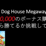 【オンラインカジノ】The Dog House Megawaysで100万円ぶっ込んでみた結果がこれ。